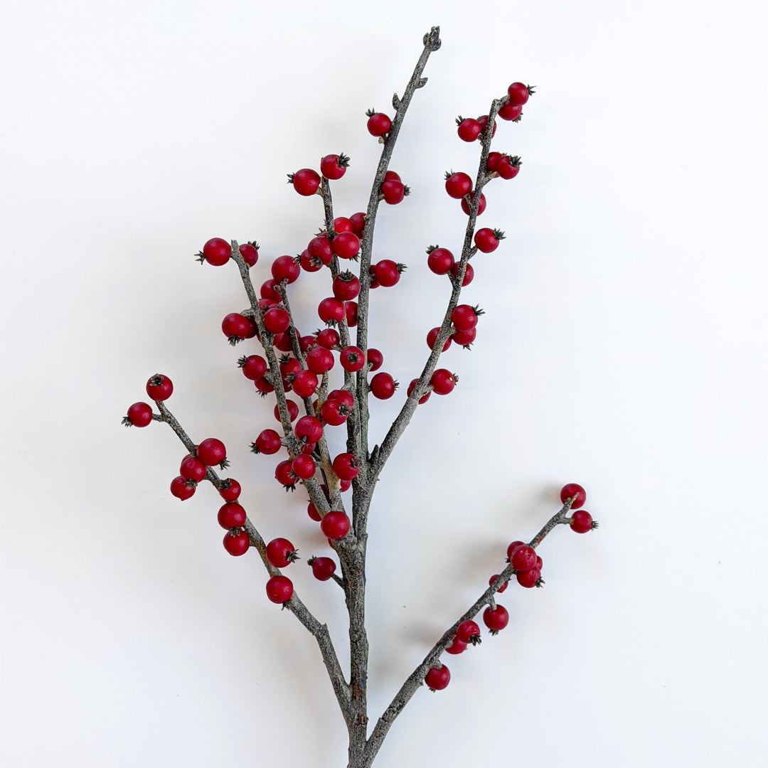Rustic Red Winter Berry Pick