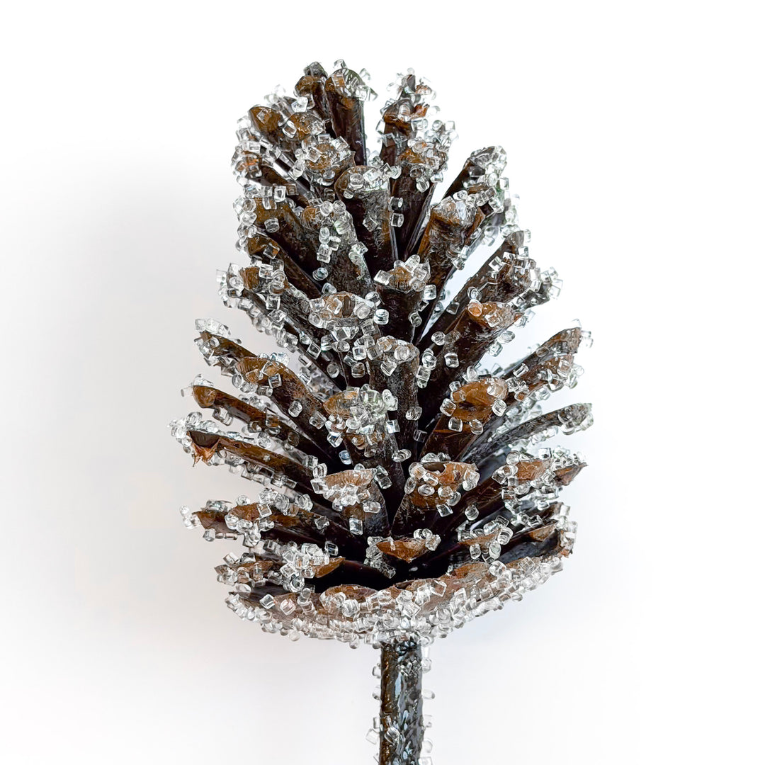 Iced Over Pinecone Pick