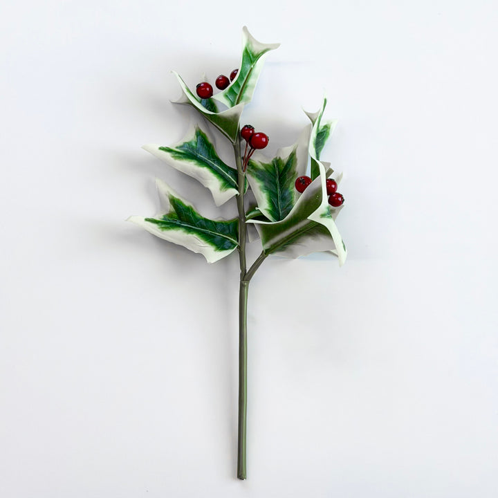 Fresh Cut Holly Berry Pick
