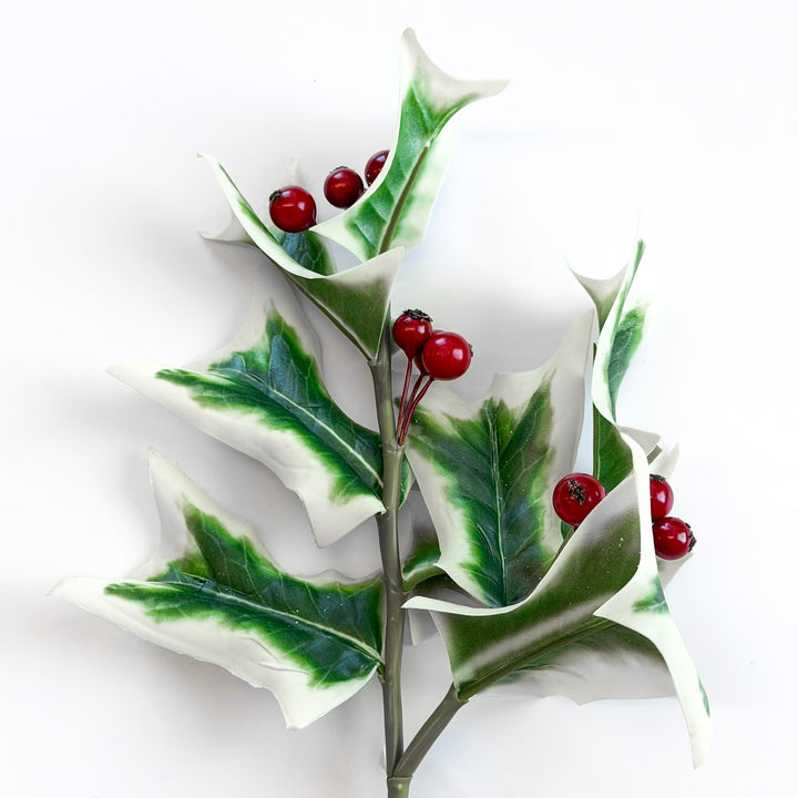 Fresh Cut Holly Berry Pick