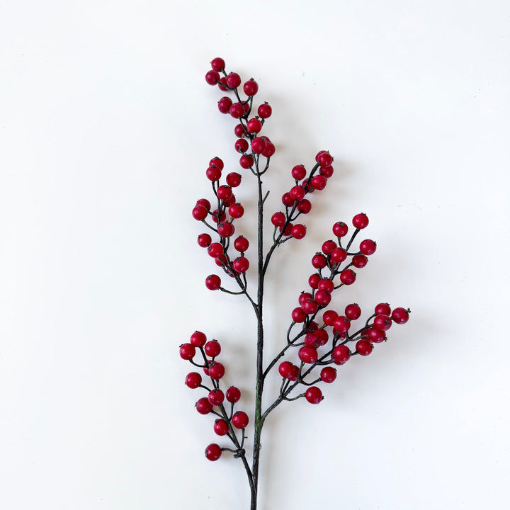 Classic Winter Berry Waterproof Spray