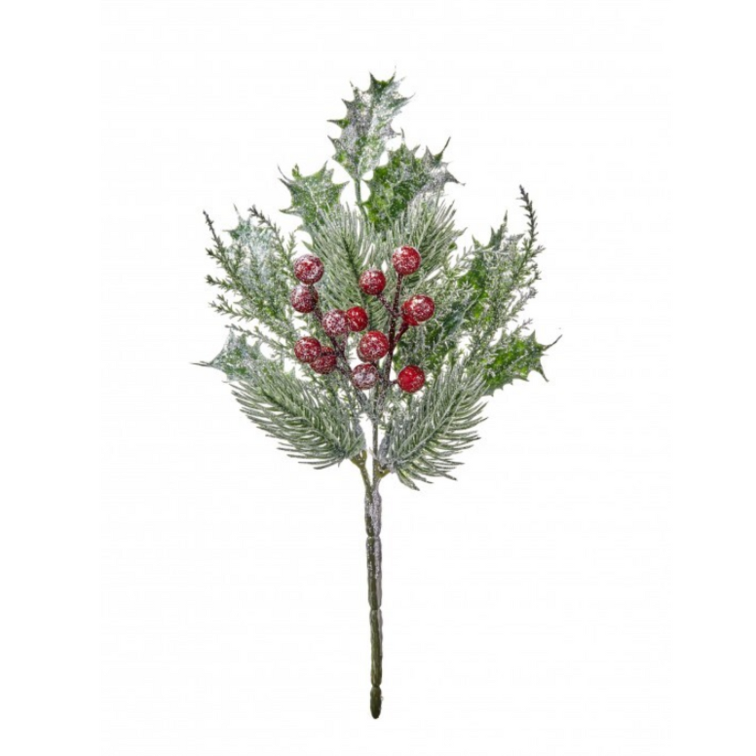 Iced Bull Pine Berry Pick