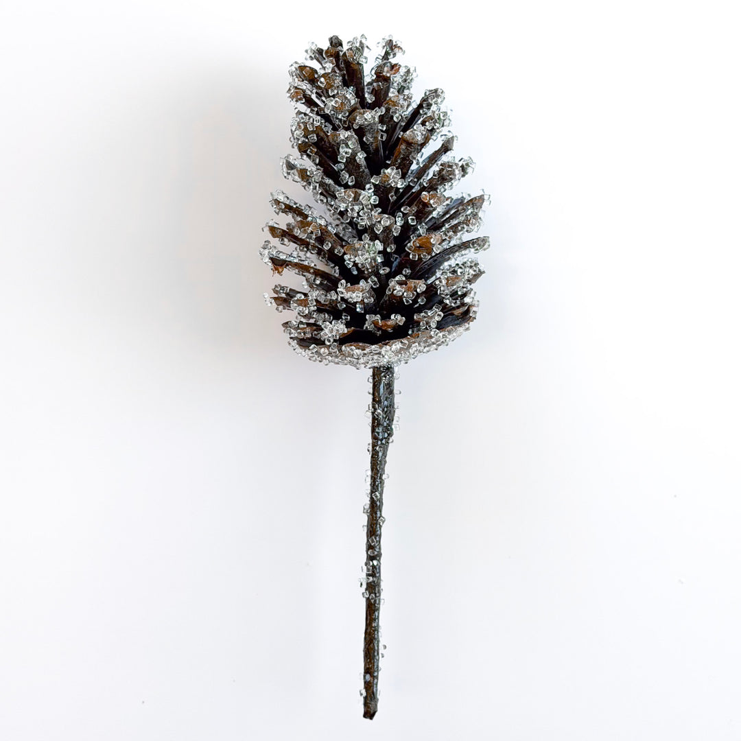 Decorative pine cone with a white background