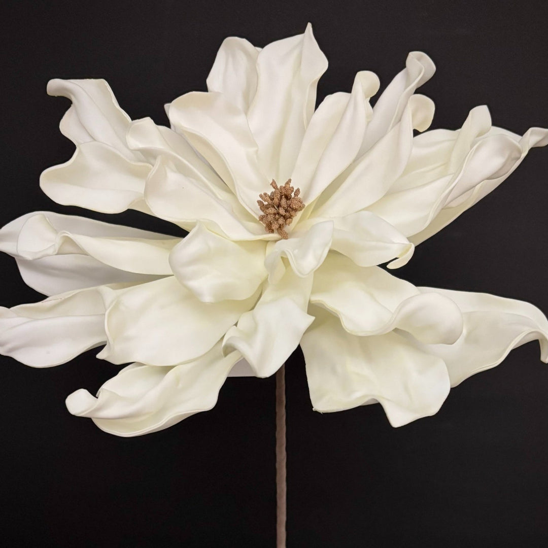 White flower on a black background