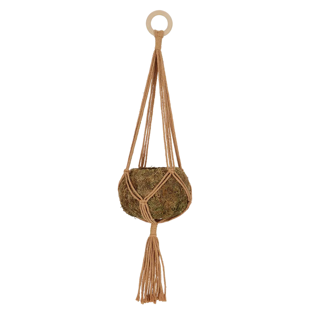 Macrame Plant Hanger