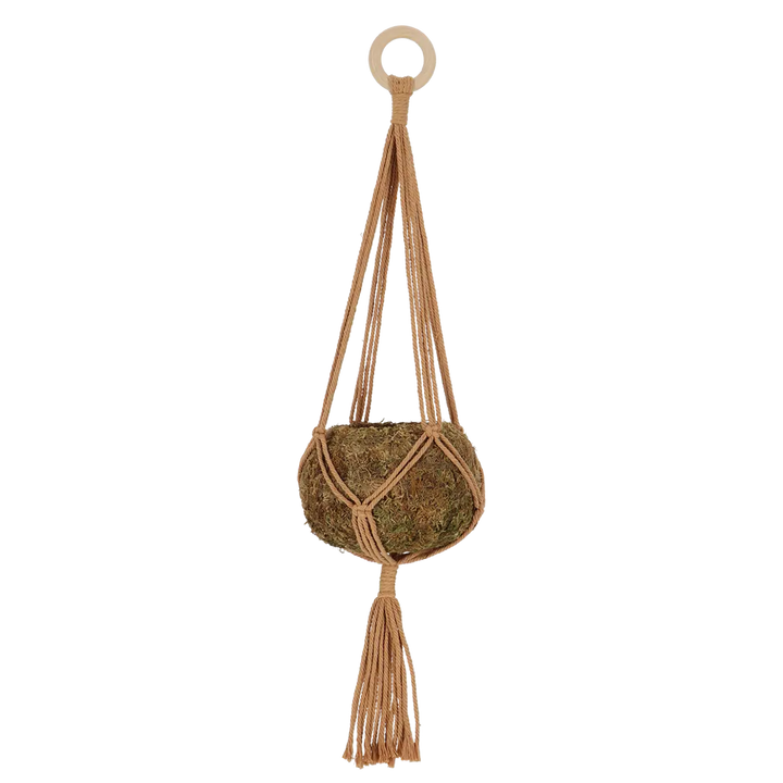 Macrame Plant Hanger