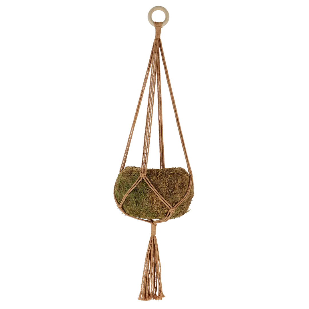 Macrame Plant Hanger