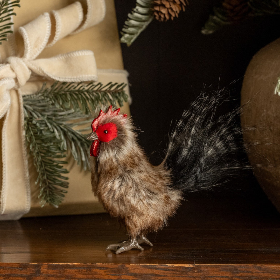 Fluffy Brown Rooster