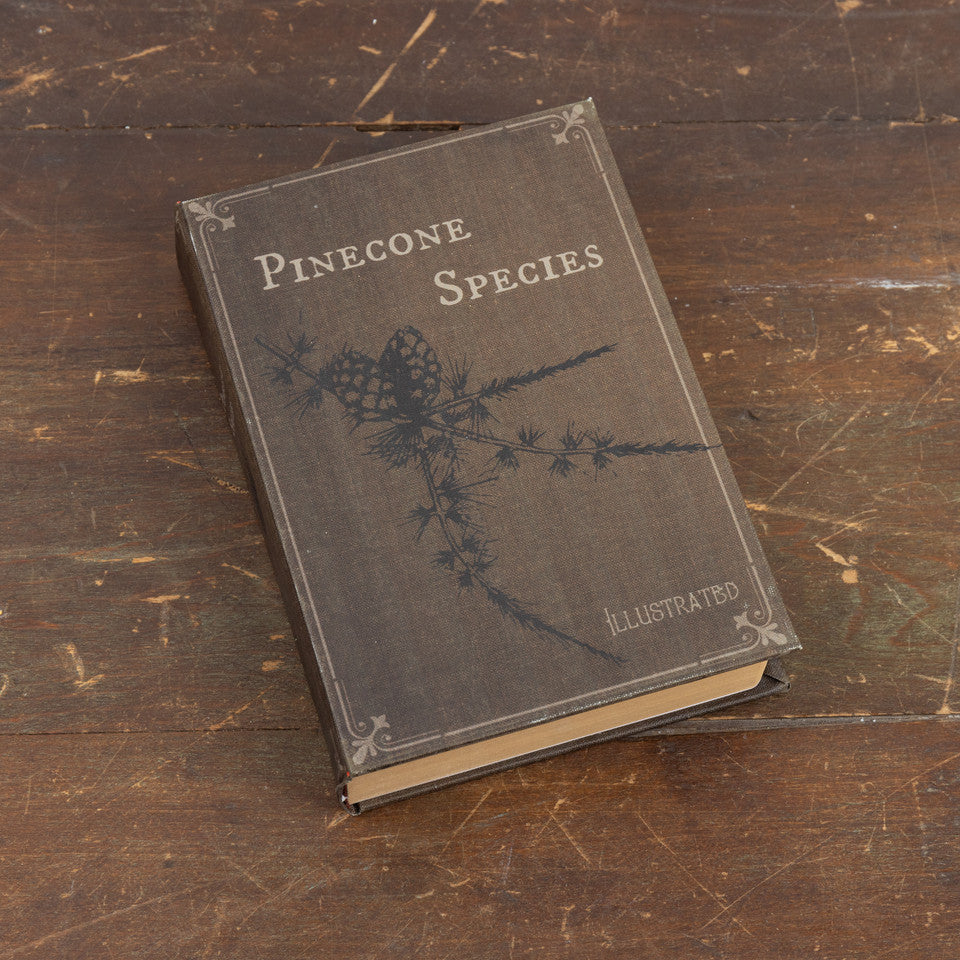 Pinecone Species Journal