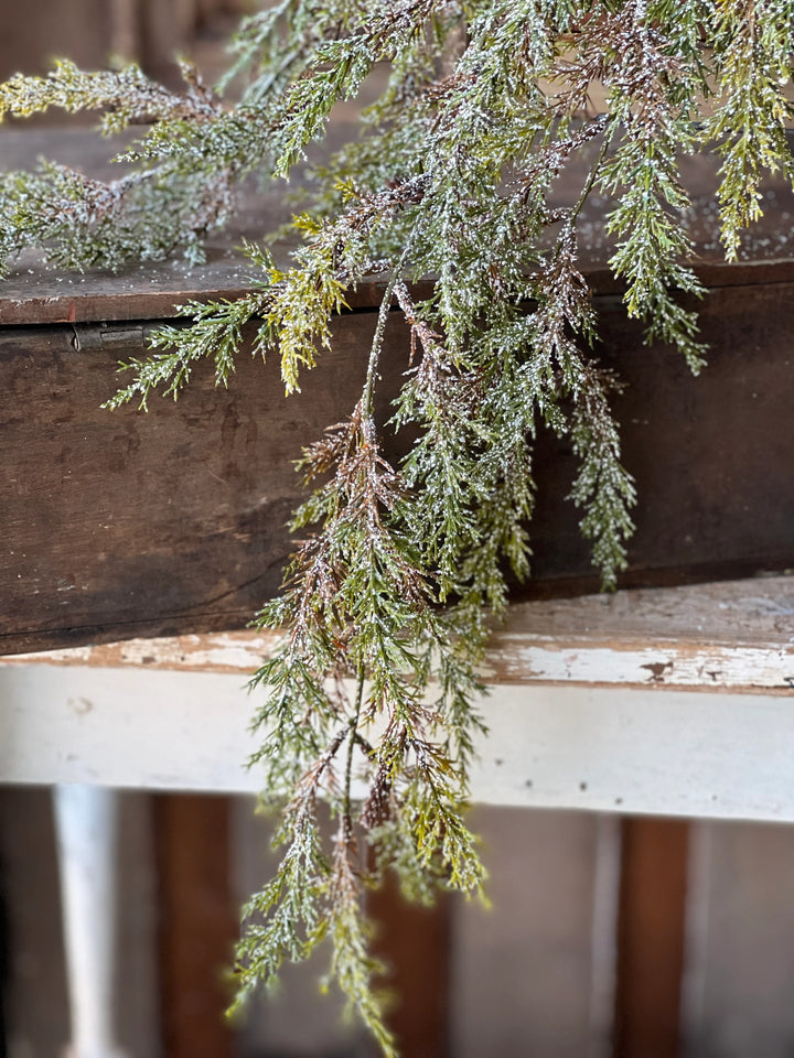 Snowy Prickly Pine Hanging Folidage