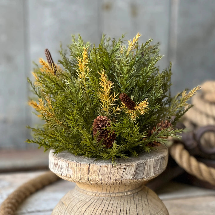 Prickly Pine Moss Half Sphere