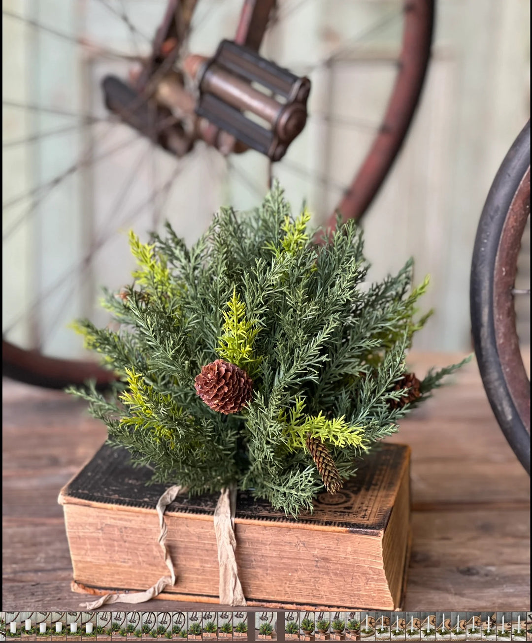 Prickly Pine Half Sphere