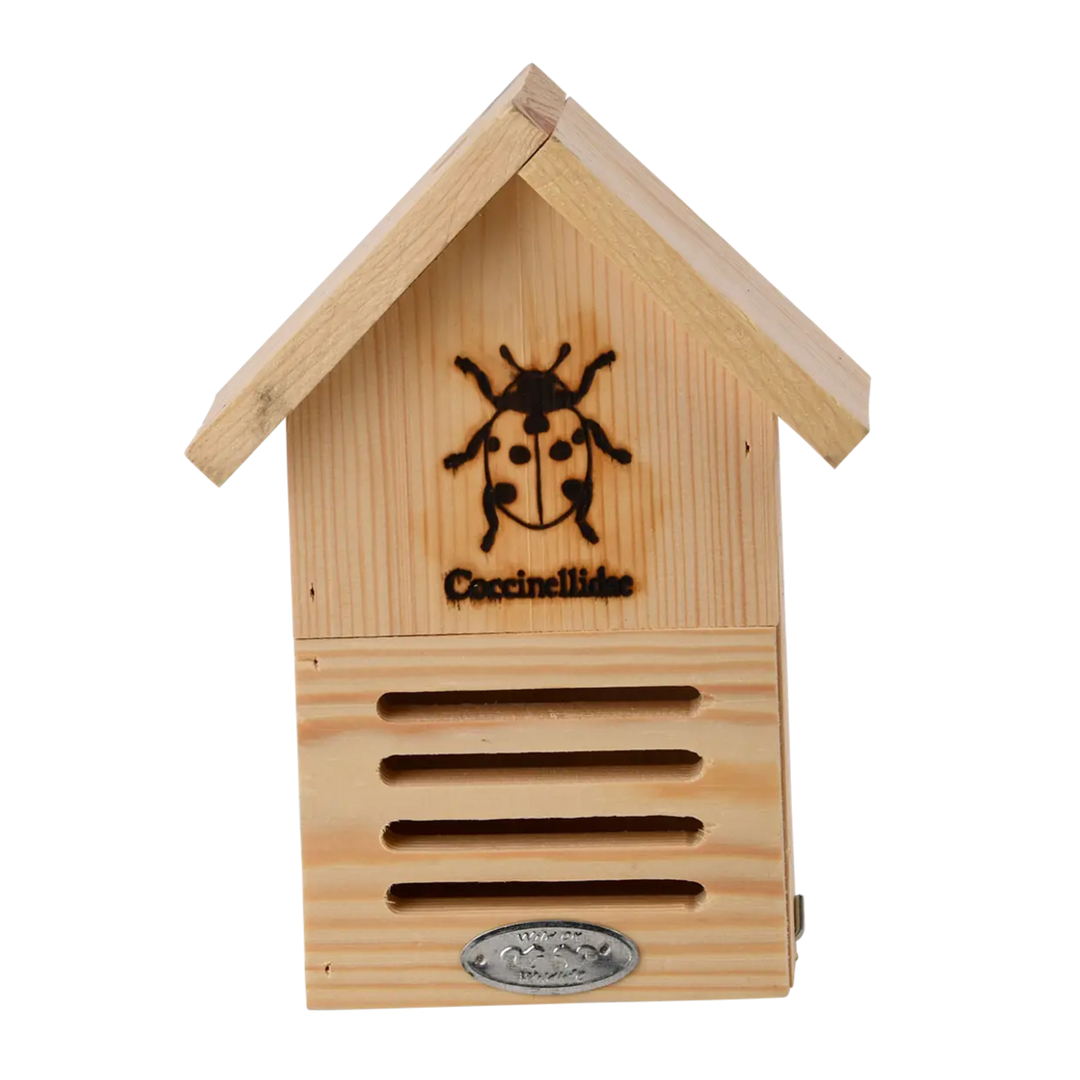 Ladybug House