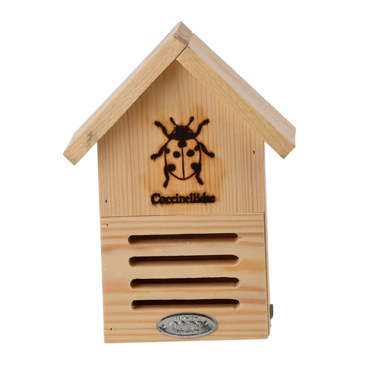 Ladybug House