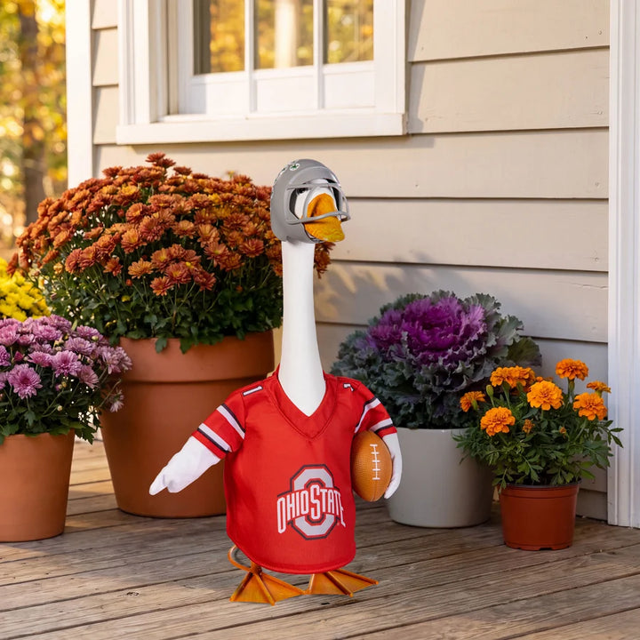 Sports Team Porch Goose Uniform