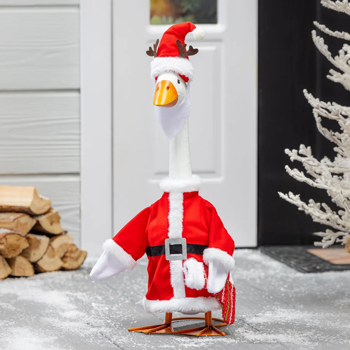 Winter Porch Goose Outfit