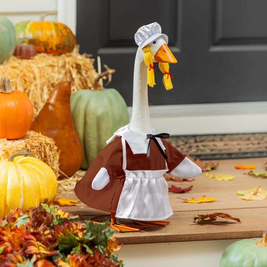 Autumn Porch Goose Outfit