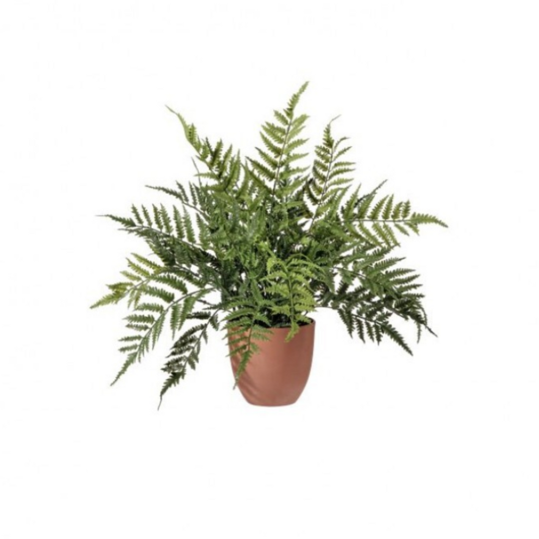 Potted fern plant on a white background with 'NEW!' label and UV indicator.