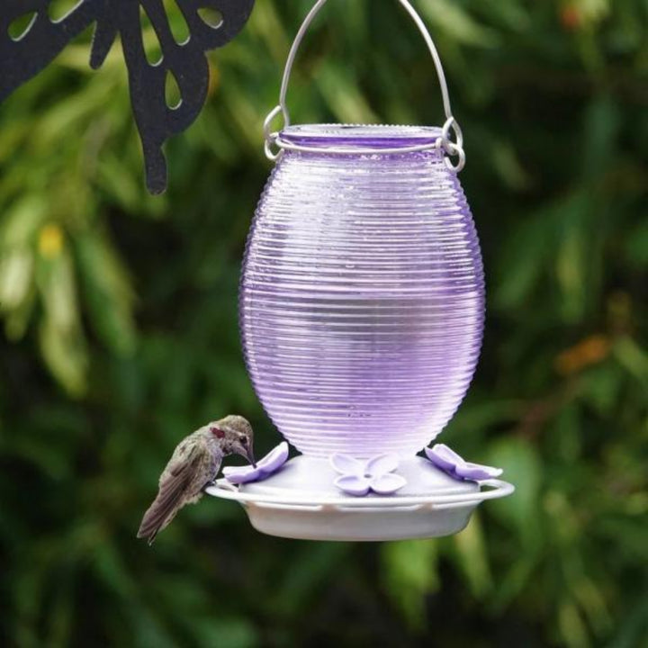 Purple hummingbird feeder with a hummingbird perched on it against a green leafy background