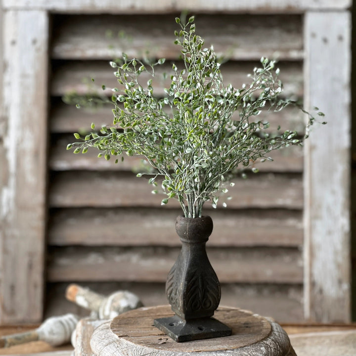 Little Luna Green Bundle