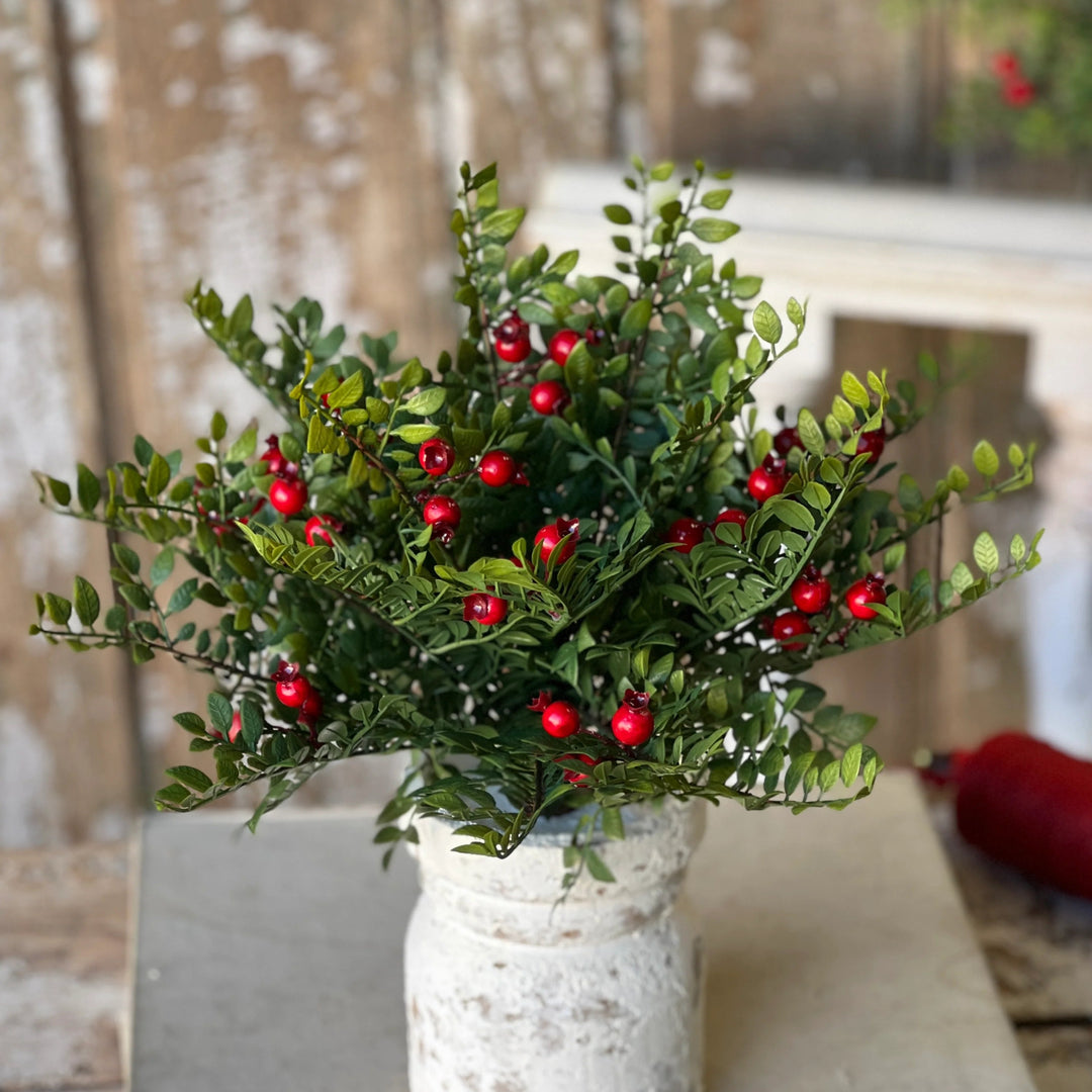 Lively Berry Bough Bush 