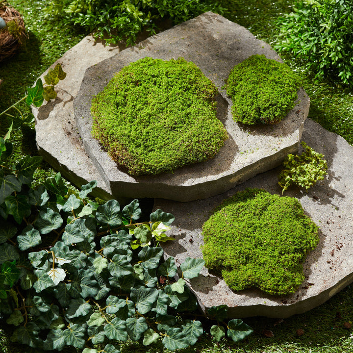 Moss Pad