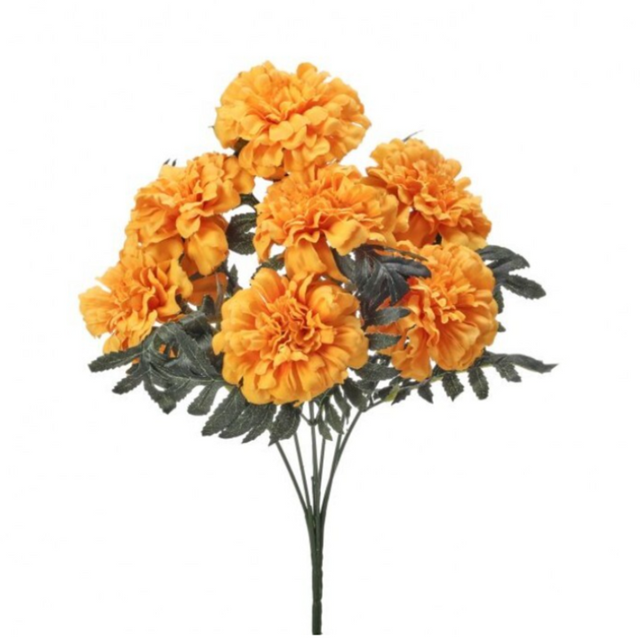 Bouquet of orange marigold flowers on a white background
