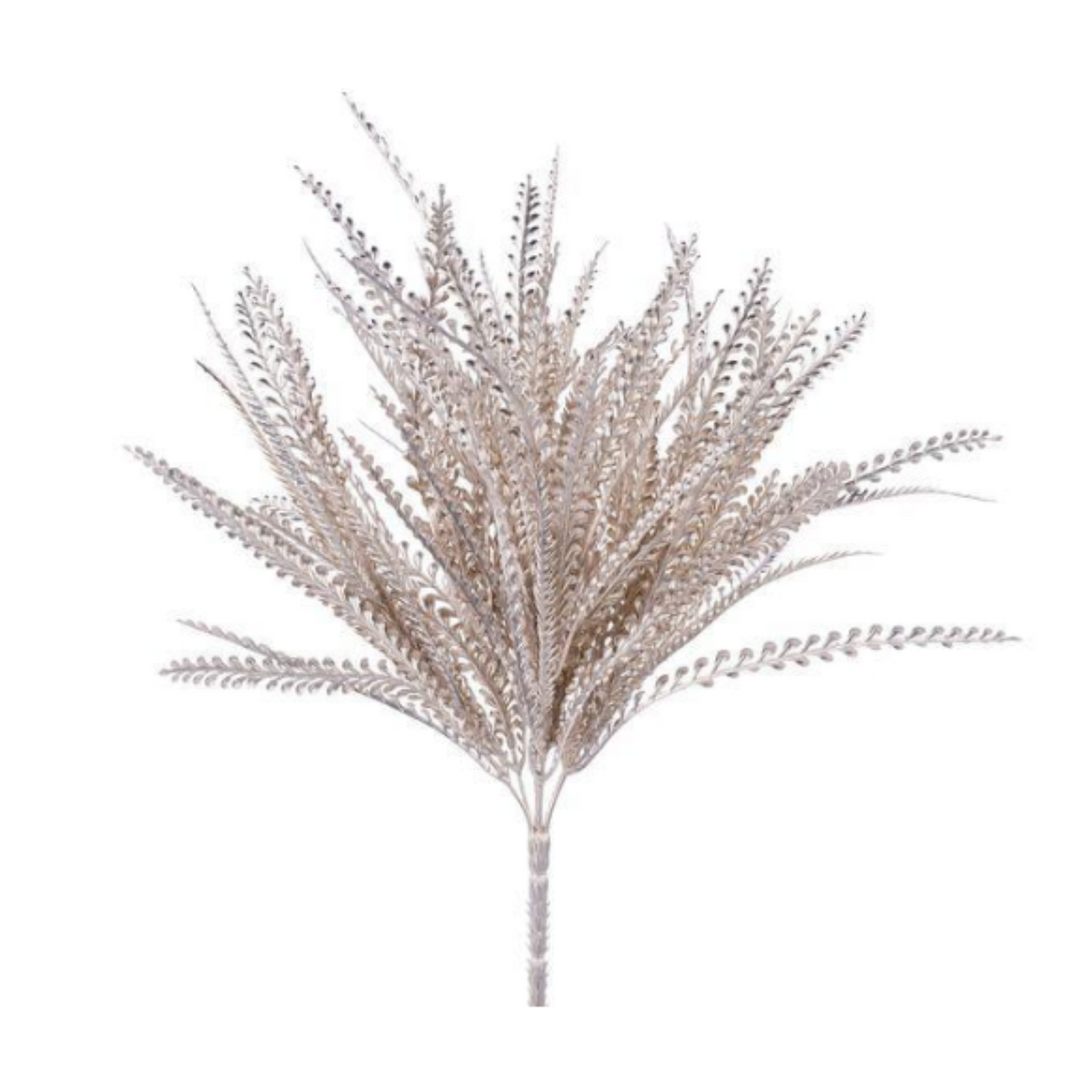 Metallic Button Fern Bush