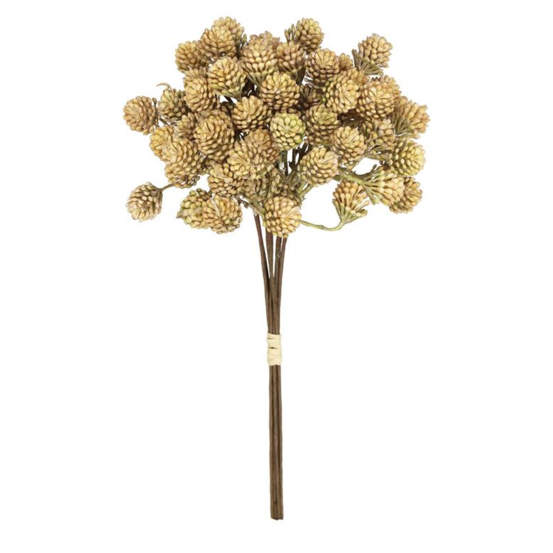 Bouquet of dried flowers on a white background