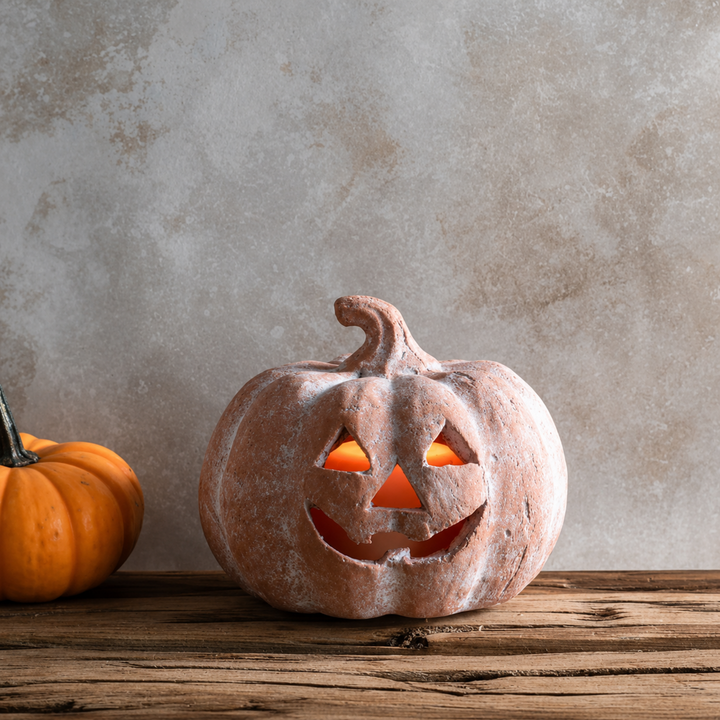Mini Terra Jack O Lantern