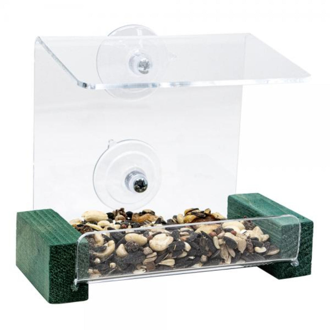Bird feeder with clear plastic cover and green base on a white background