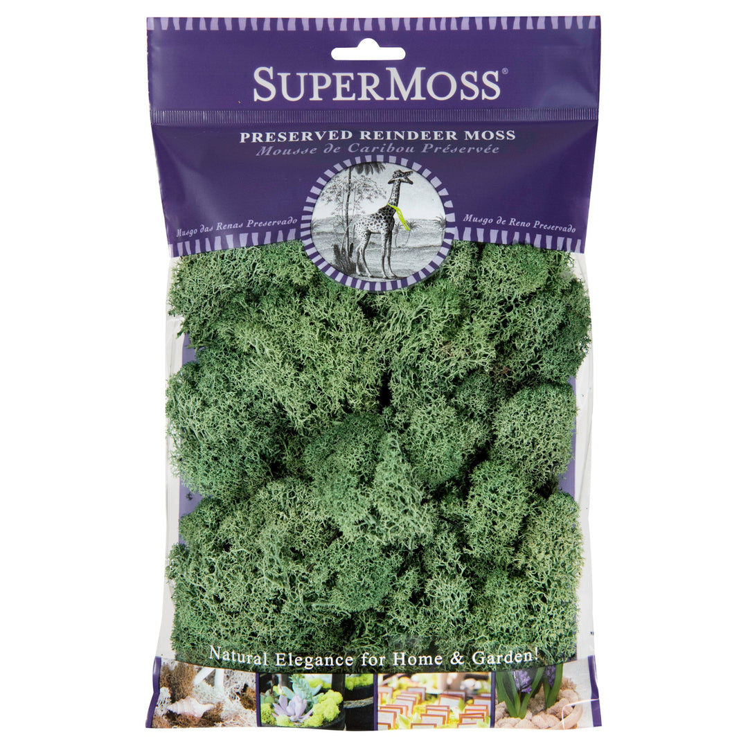SuperMoss preserved reindeer moss packaging on a white background