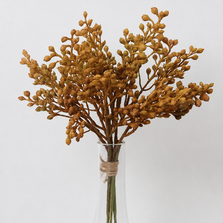 Mustard Seeded Bundle