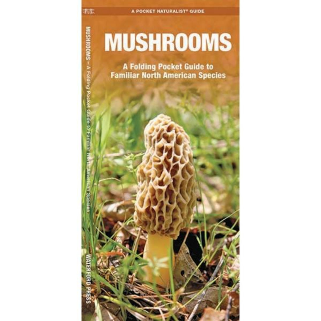 Book cover of 'Mushrooms' guide with a mushroom on a natural background