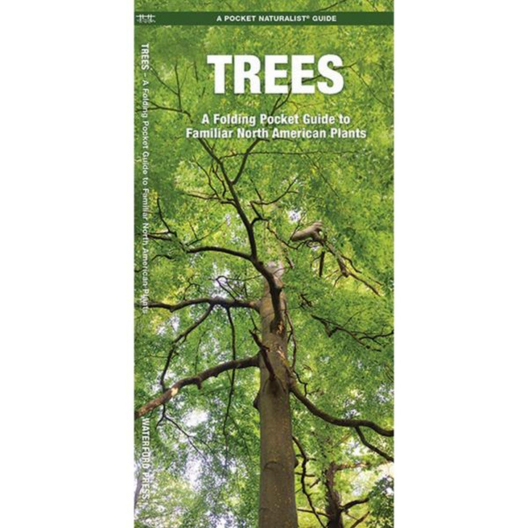 Book cover of 'Trees' with a tree image on a white background