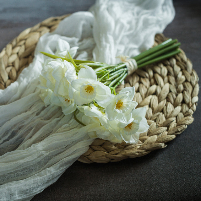White Daffodil Bundle