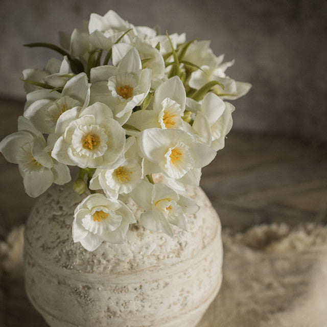 White Daffodil Bundle