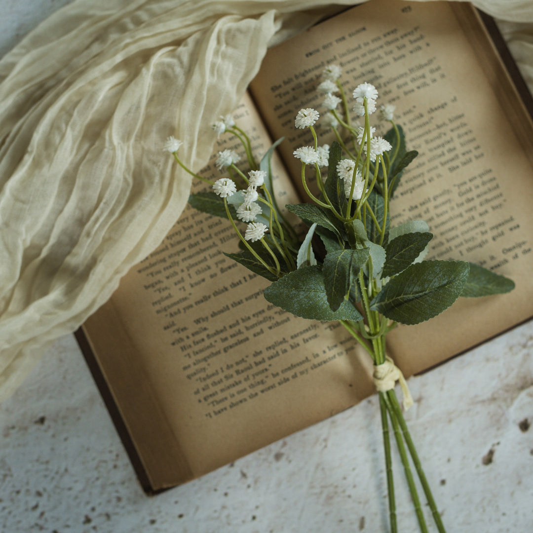 Mini Cream Star Bundle