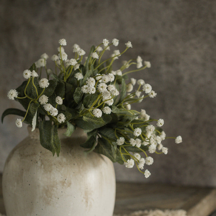 Mini Cream Star Bundle