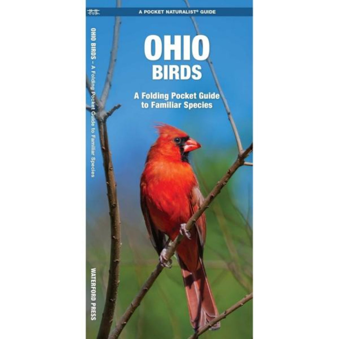 Book cover of 'Ohio Birds' with a red cardinal on a branch