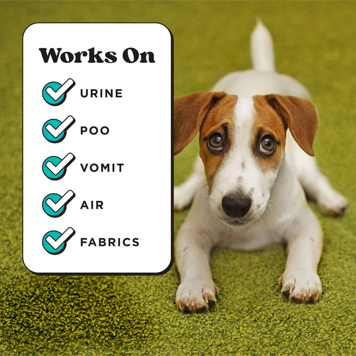 Pet Pourri Pet Odor Freshener Pocket Sprayer