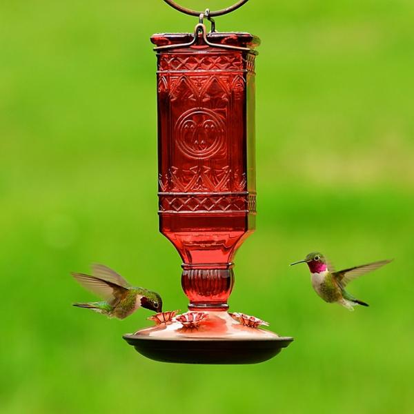 Antique Red Bottle Hummingbird Feeder