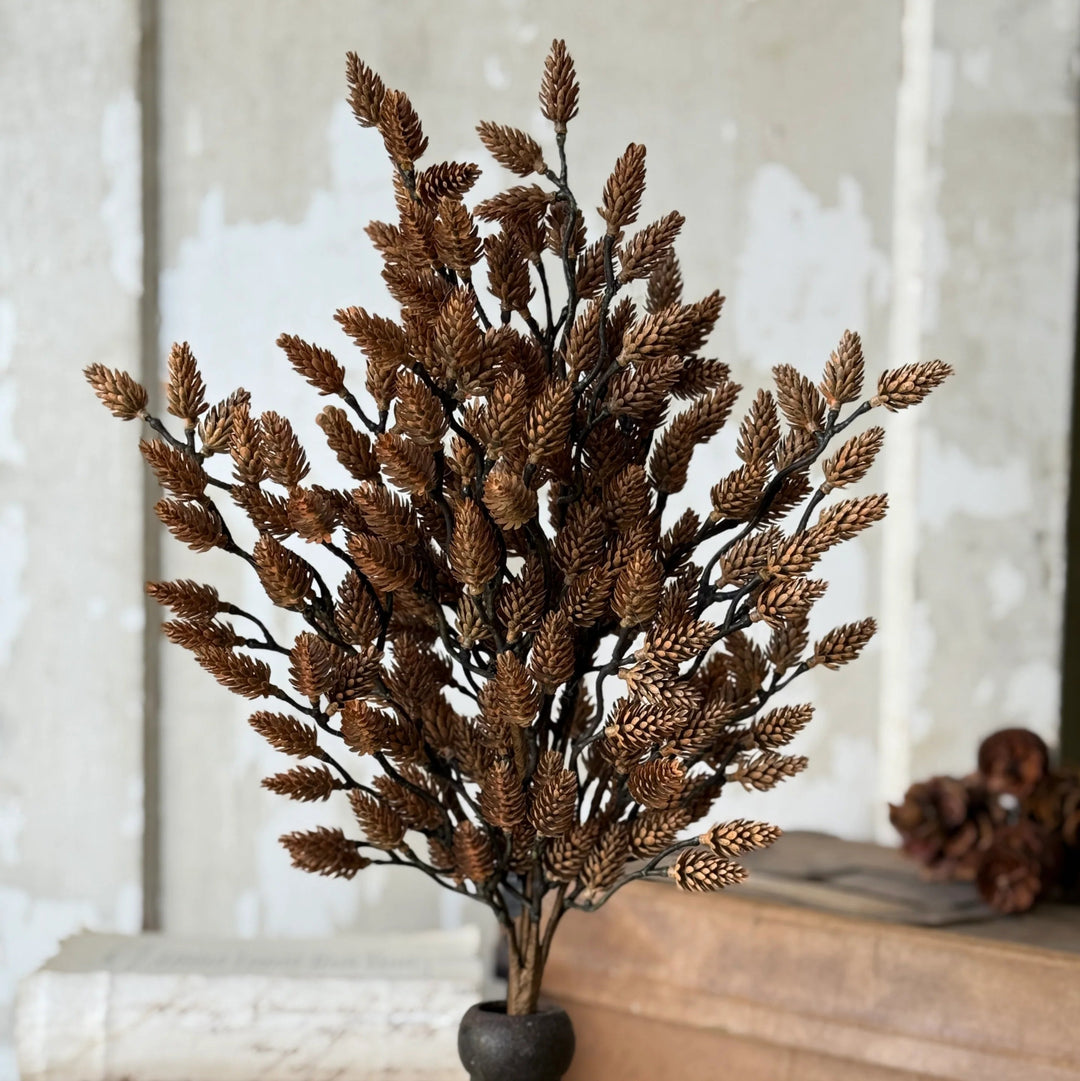 Plethora Pinecones Bush 