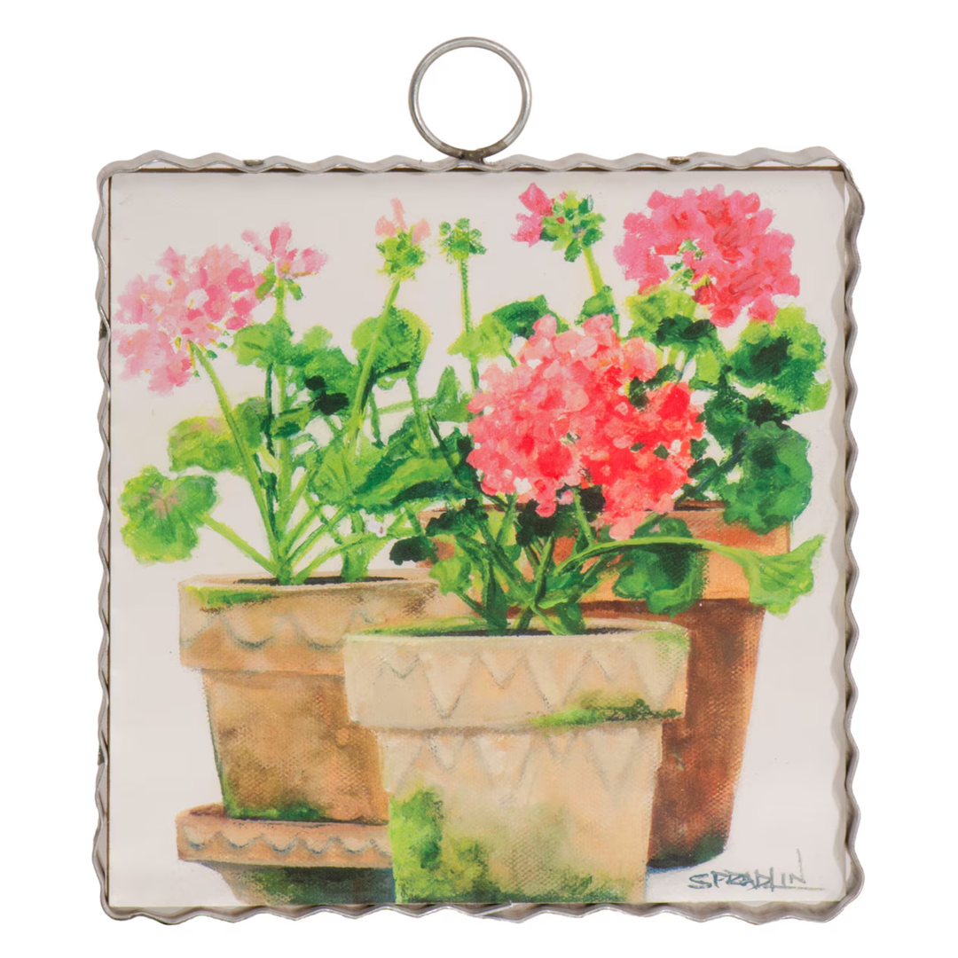 Potted Geraniums Scalloped Mini Print on white background
