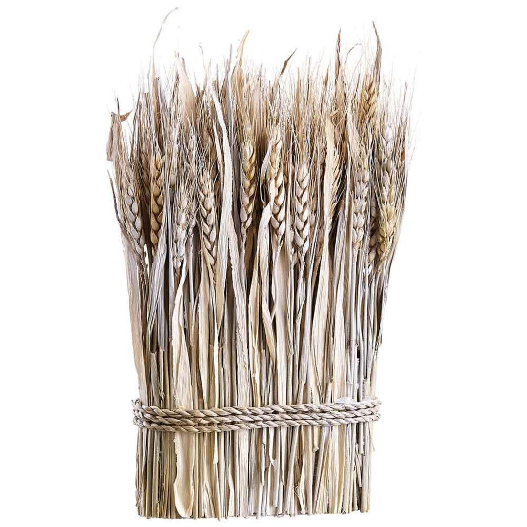 Bunch of wheat stalks tied together on a white background
