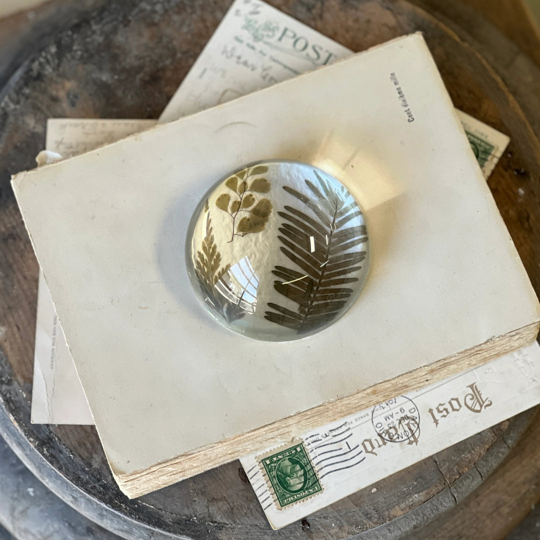 Natural Wonders Paperweight