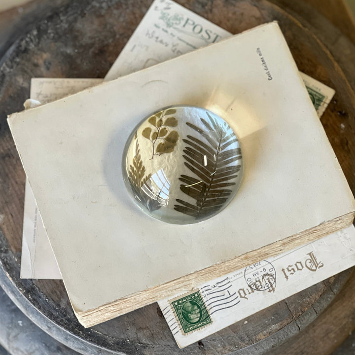 Natural Wonders Paperweight