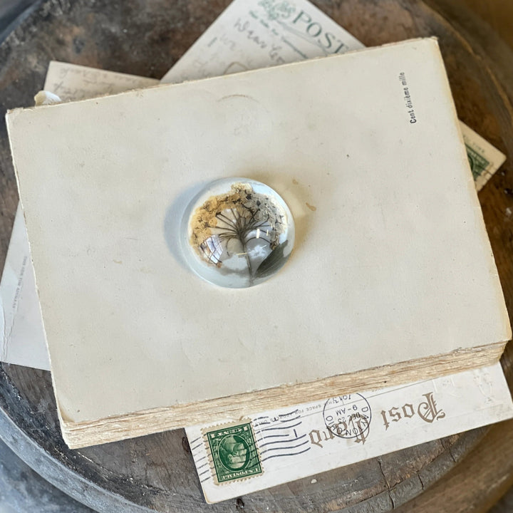 Natural Wonders Paperweight