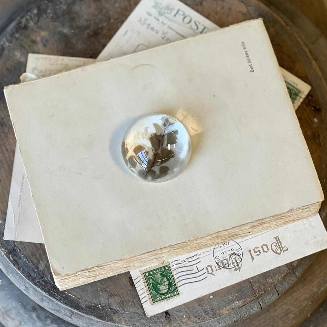 Natural Wonders Paperweight