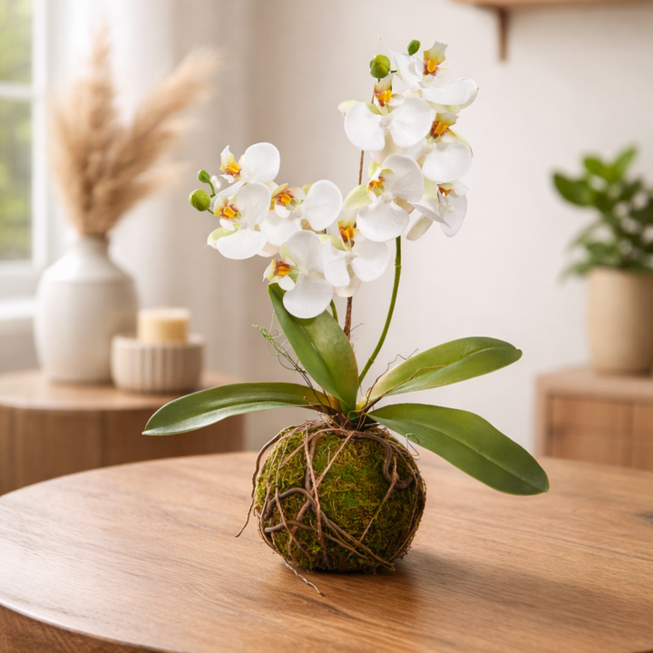 Real Touch Orchid With Moss Ball